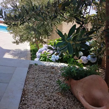 Apartmán Oliva 1 Lozica