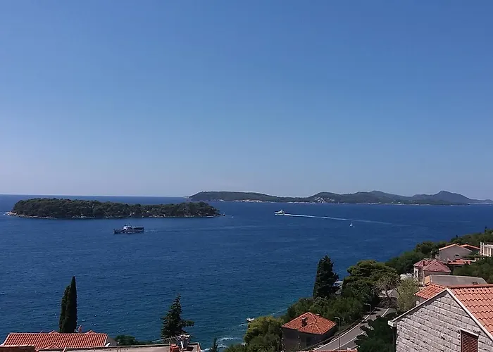 Oliva 1 Lozica Dubrovnik