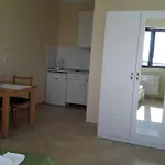 Oliva 1 Lozica Dubrovnik