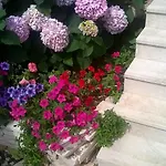 Daire Oliva 1 Lozica