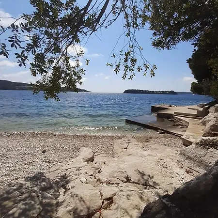 Daire Oliva 1 Lozica