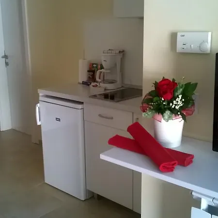 Oliva 1 Lozica *