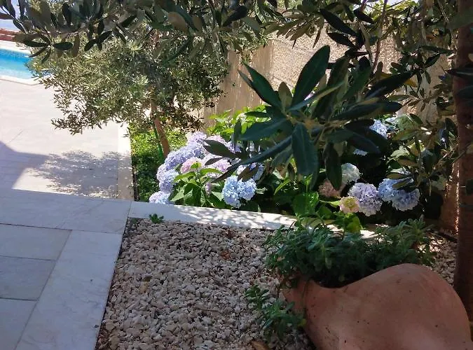 公寓 Oliva 1 Lozica