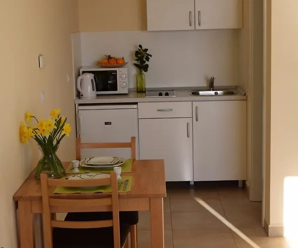 公寓 Oliva 1 Lozica 杜布罗夫尼克