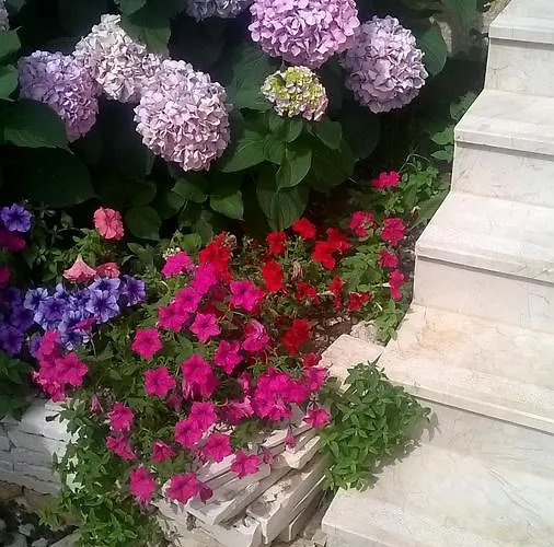 公寓 Oliva 1 Lozica